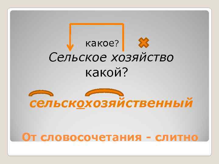 какое? Сельское хозяйство какой? сельскохозяйственный От словосочетания - слитно 