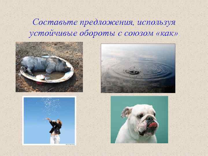 Составьте предложения, используя устойчивые обороты с союзом «как» 