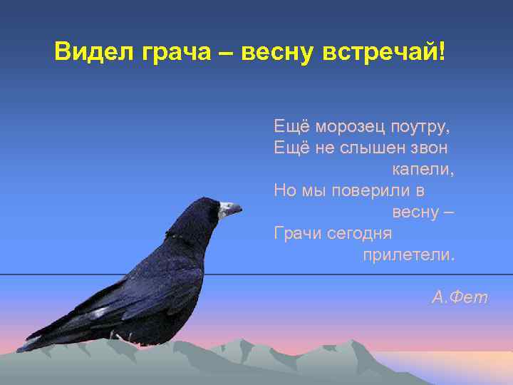 Видел грача – весну встречай! Ещё морозец поутру, Ещё не слышен звон капели, Но