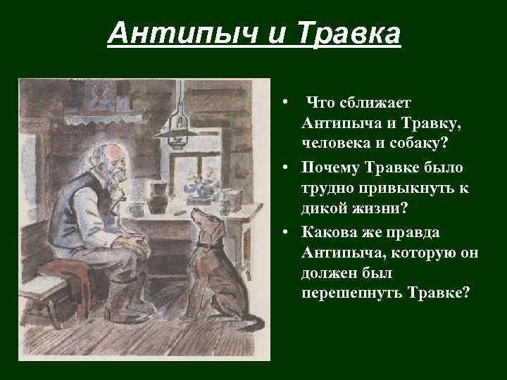 Антипыч и Травка • Что сближает Антипыча и Травку, человека и собаку? • Почему