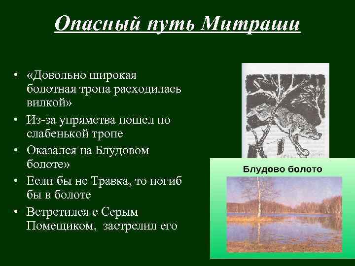 Опасный путь Митраши • «Довольно широкая болотная тропа расходилась вилкой» • Из-за упрямства пошел