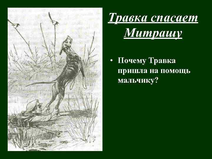 Травка спасает Митрашу • Почему Травка пришла на помощь мальчику? 