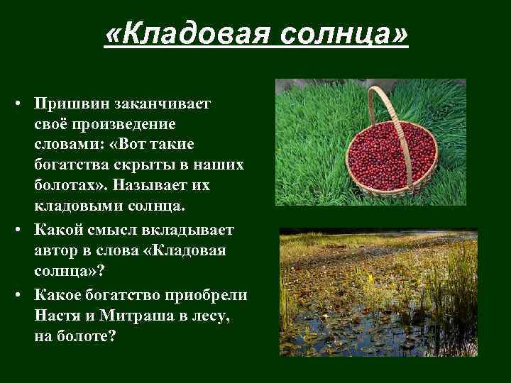  «Кладовая солнца» • Пришвин заканчивает своё произведение словами: «Вот такие богатства скрыты в