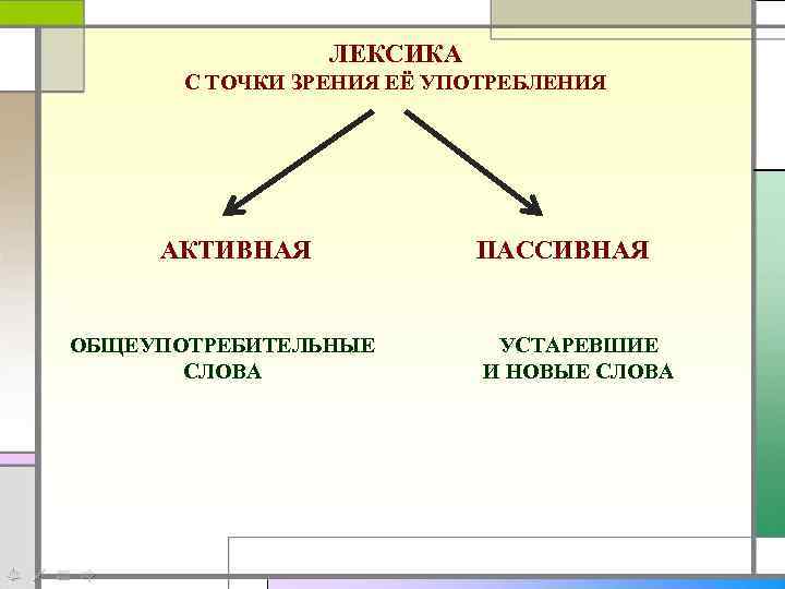 Лексика с точки зрения происхождения и употребления