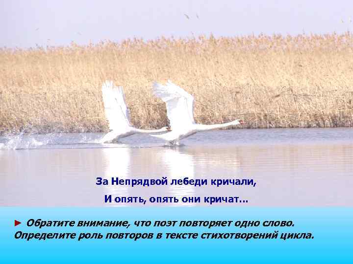 За Непрядвой лебеди кричали, И опять, опять они кричат… ► Обратите внимание, что поэт