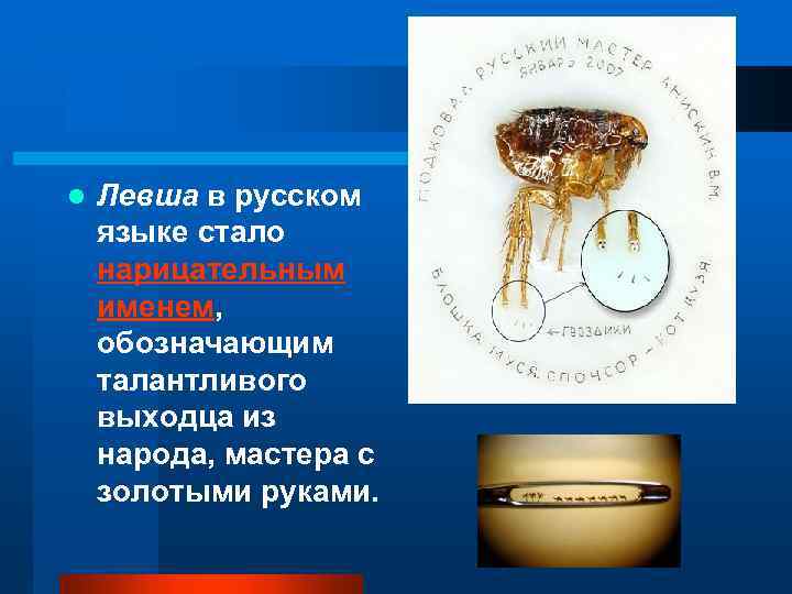 l Левша в русском языке стало нарицательным именем, обозначающим талантливого выходца из народа, мастера