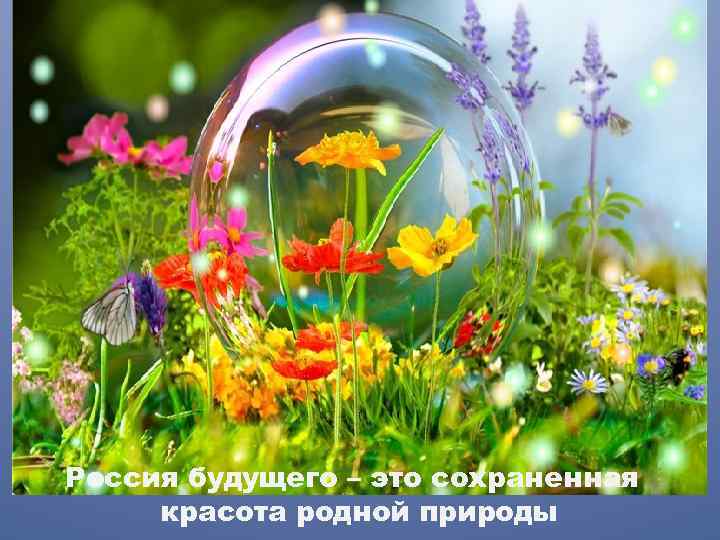 Россия будущего – это сохраненная красота родной природы 
