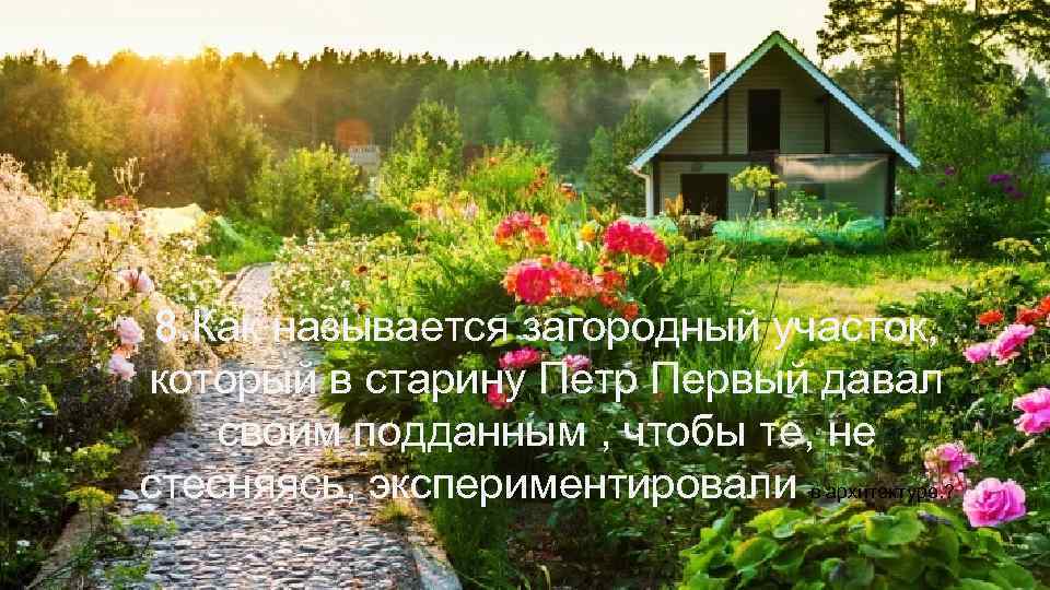 8. Как называется загородный участок, который в старину Петр Первый давал своим подданным ,