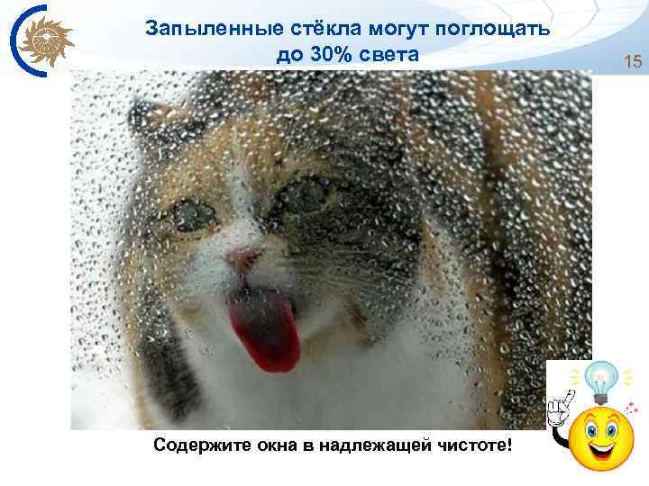 Запыленные стёкла могут поглощать до 30% света Содержите окна в надлежащей чистоте! 15 