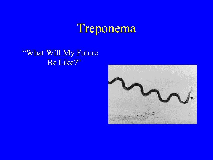 Treponema “What Will My Future Be Like? ” 