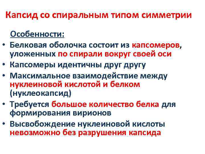 Капсид со спиральным типом симметрии • • • Особенности: Белковая оболочка состоит из капсомеров,