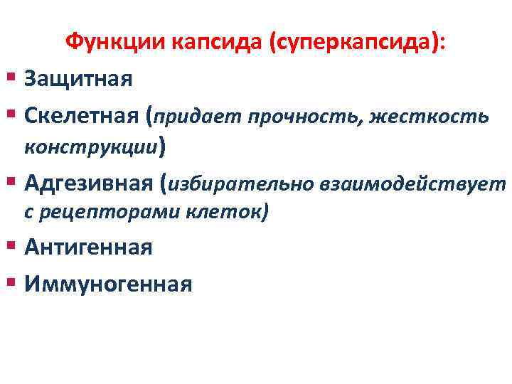 Функции капсида (суперкапсида): § Защитная § Скелетная (придает прочность, жесткость конструкции) § Адгезивная (избирательно