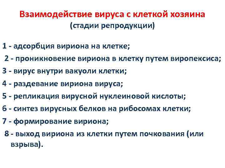 Взаимодействие вируса с клеткой хозяина (стадии репродукции) 1 - адсорбция вириона на клетке; 2