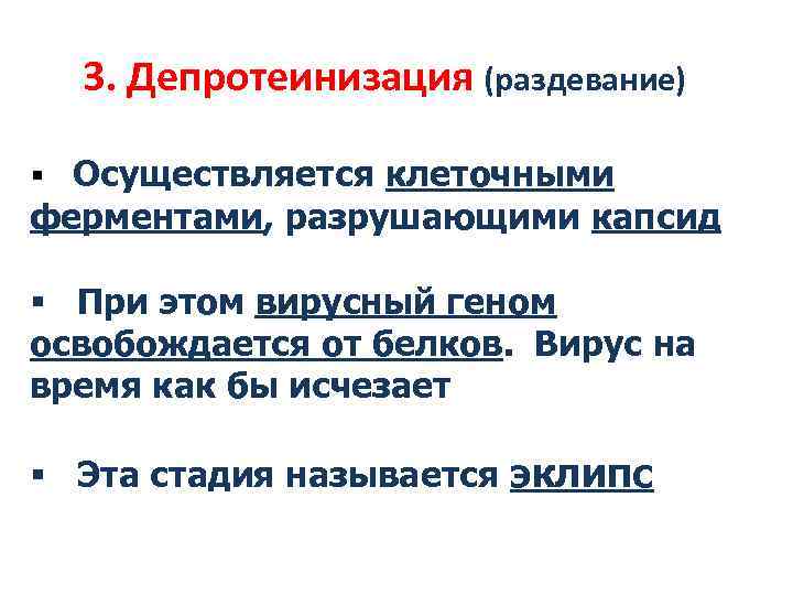 3. Депротеинизация (раздевание) § Осуществляется клеточными ферментами, разрушающими капсид § При этом вирусный геном