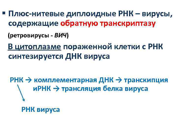 § Плюс-нитевые диплоидные РНК – вирусы, содержащие обратную транскриптазу (ретровирусы - ВИЧ) В цитоплазме