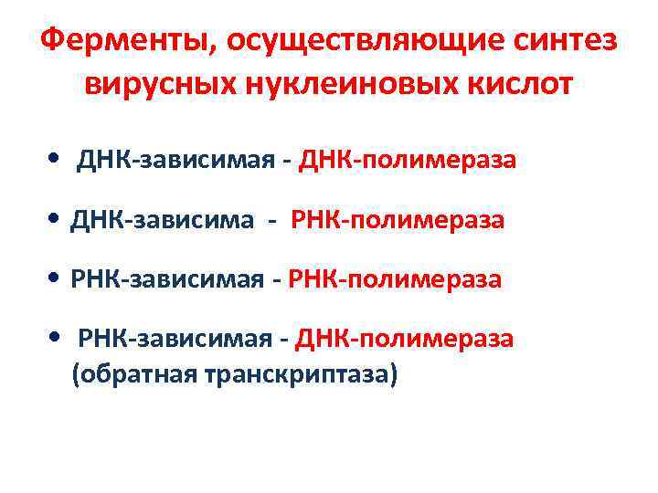 Ферменты, осуществляющие синтез вирусных нуклеиновых кислот • ДНК-зависимая - ДНК-полимераза • ДНК-зависима - РНК-полимераза