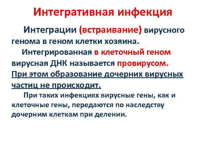 Интегративная инфекция Интеграции (встраивание) вирусного генома в геном клетки хозяина. Интегрированная в клеточный геном