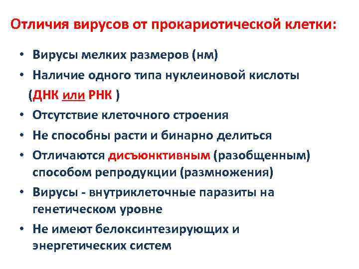 Отличия вирусов от прокариотической клетки: • Вирусы мелких размеров (нм) • Наличие одного типа