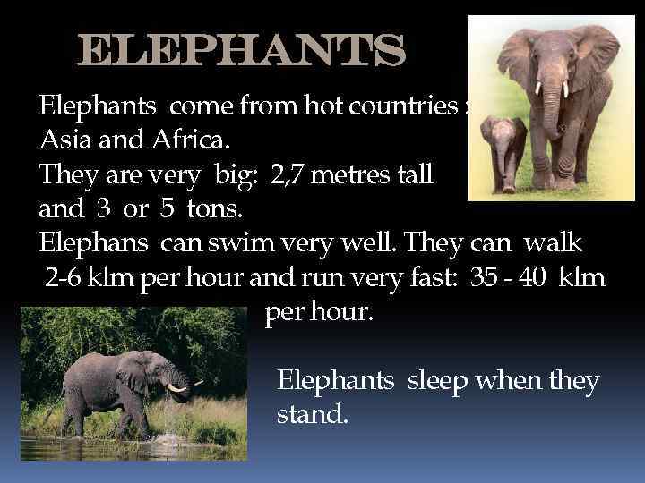 Elephants come from hot countries : Asia and Africa. They are very big: 2,