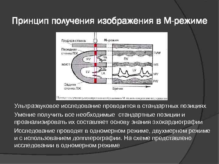 Принципы получения ультразвукового изображения сердца в трех режимах сканирования