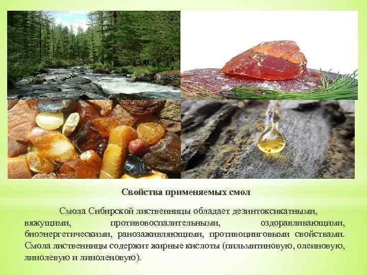 Свойства применяемых смол Смола Сибирской лиственницы обладает дезинтоксикатными, вяжущими, противовоспалительными, оздоравливающими, биоэнергетическими, ранозаживляющими, противоцинговыми