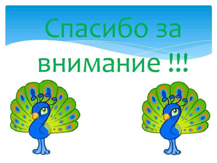 Спасибо за внимание !!! 