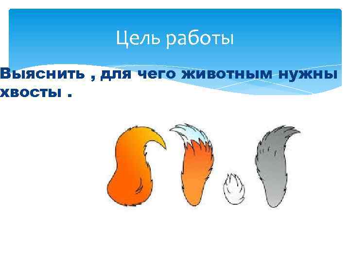 Цель работы Выяснить , для чего животным нужны хвосты. 