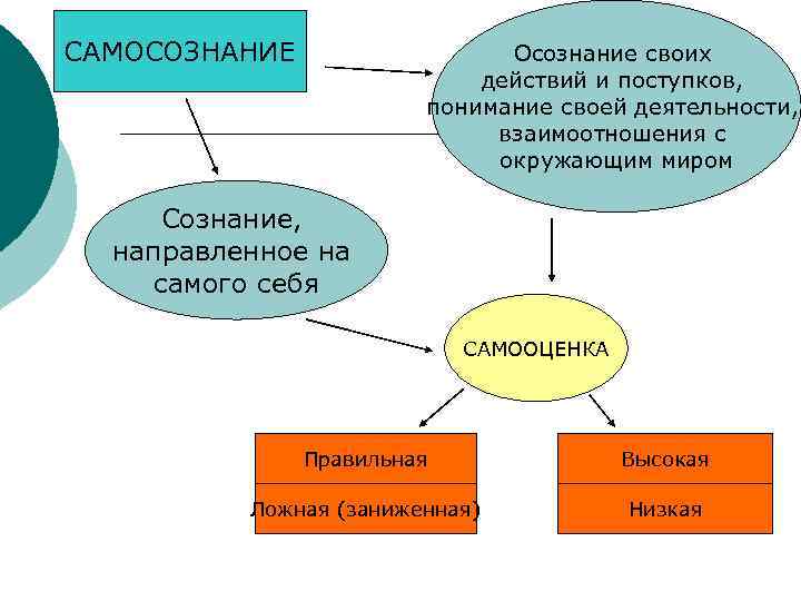 Взаимодействия человека с окружающим миром