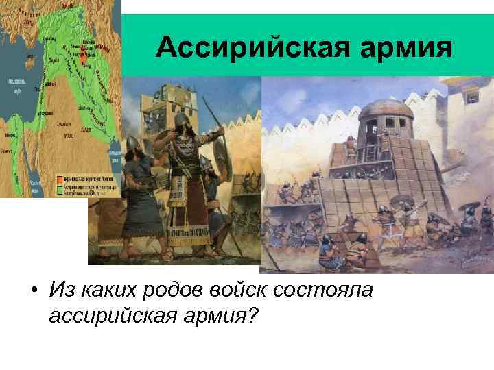 Ассирийская армия • Из каких родов войск состояла ассирийская армия? 