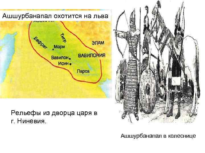 Ашшурбанапал охотится на льва Рельефы из дворца царя в г. Ниневия. Ашшурбанапал в колеснице