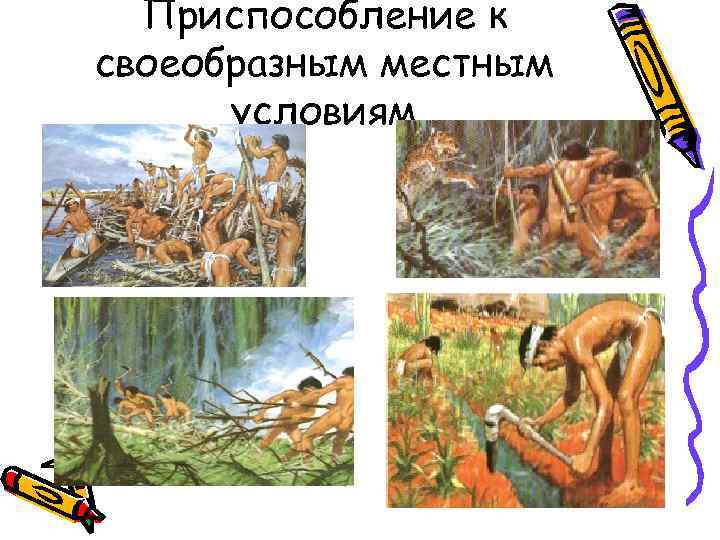 Приспособление к своеобразным местным условиям 