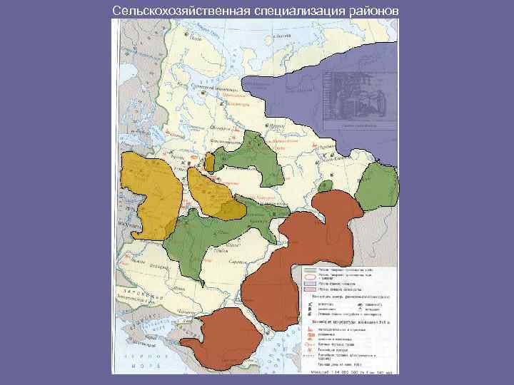 Сельскохозяйственная специализация районов 