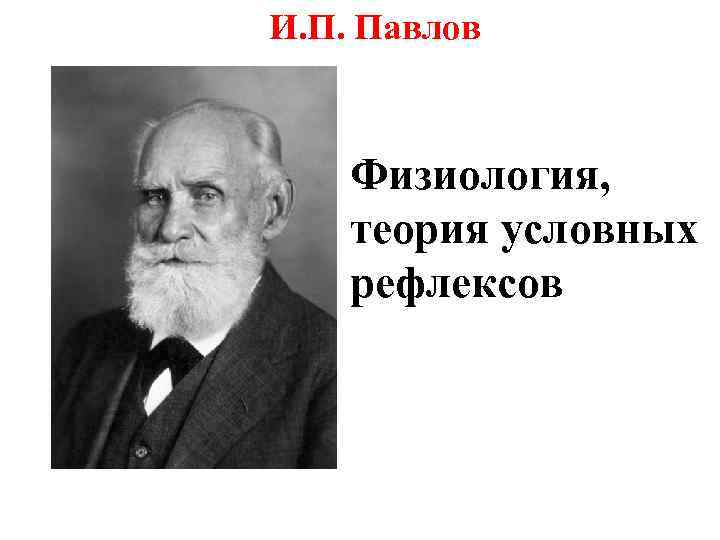 И. П. Павлов Физиология, теория условных рефлексов 