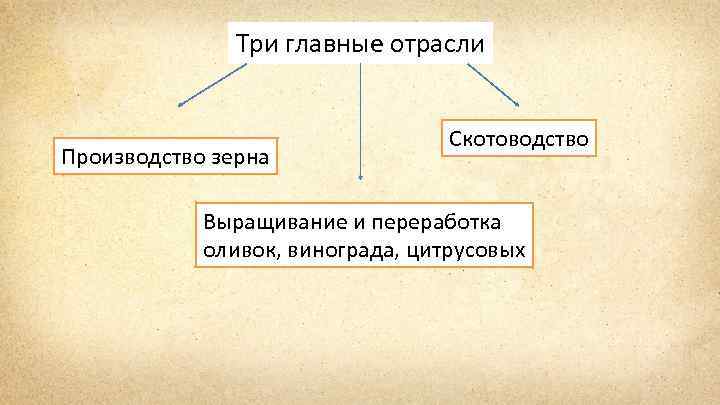 Три главные отрасли Производство зерна Скотоводство Выращивание и переработка оливок, винограда, цитрусовых 