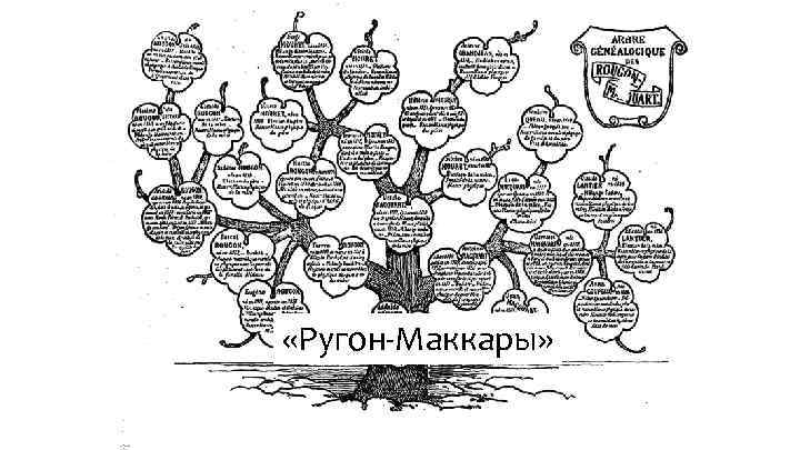  «Ругон-Маккары» 