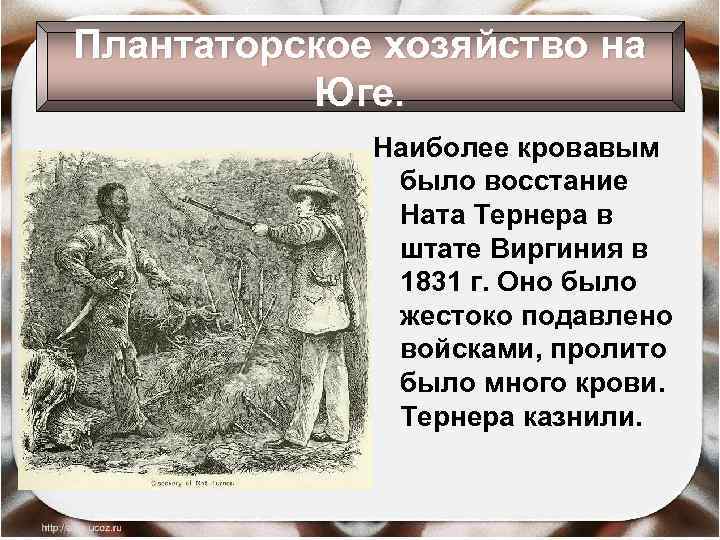 Плантаторское хозяйство на Юге. Наиболее кровавым было восстание Ната Тернера в штате Виргиния в