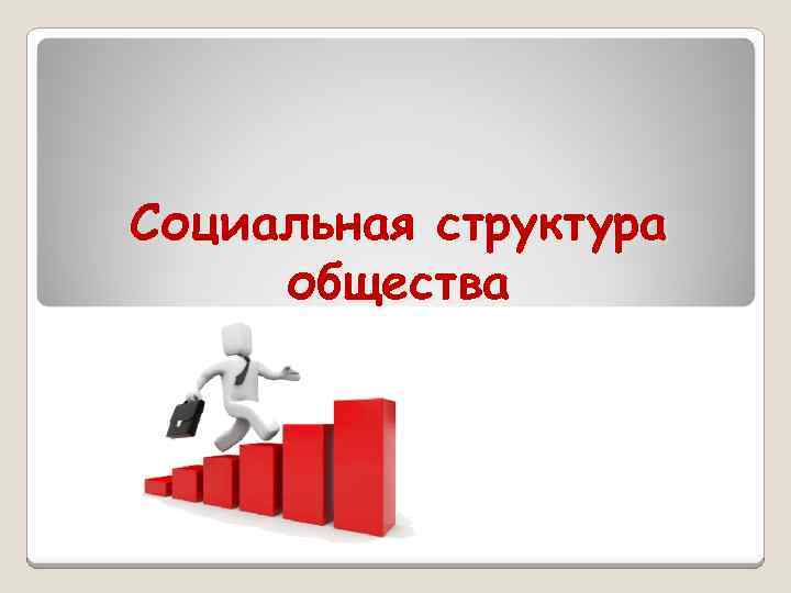 Социальная структура общества 