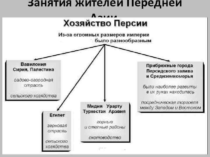 Занятия жителей Передней Азии 