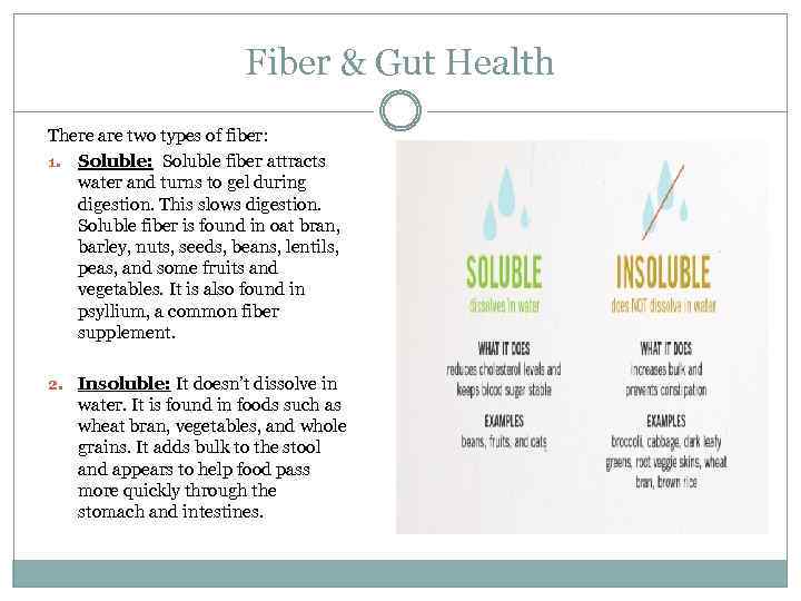 Fiber & Gut Health There are two types of fiber: 1. Soluble: Soluble fiber
