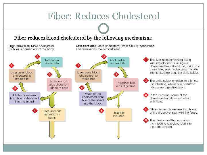 Fiber: Reduces Cholesterol Fiber reduces blood cholesterol by the following mechanism: 