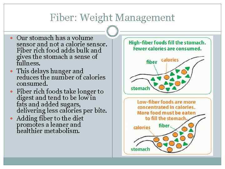 Fiber: Weight Management Our stomach has a volume sensor and not a calorie sensor.