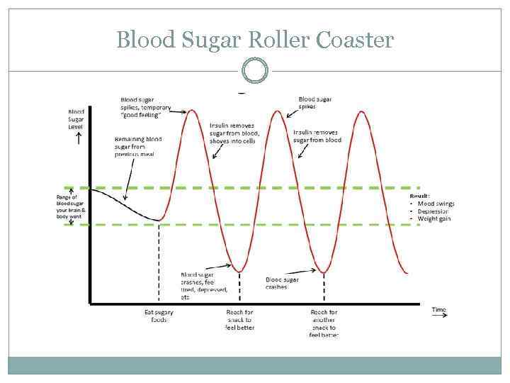 Blood Sugar Roller Coaster 