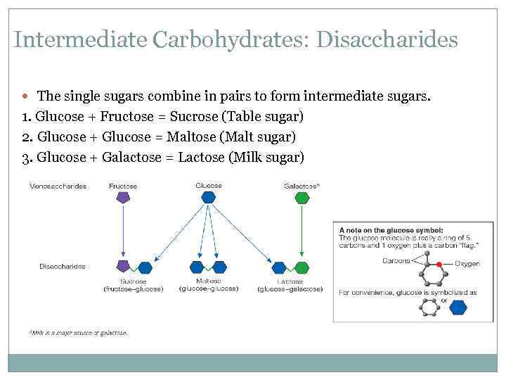 Intermediate Carbohydrates: Disaccharides The single sugars combine in pairs to form intermediate sugars. 1.