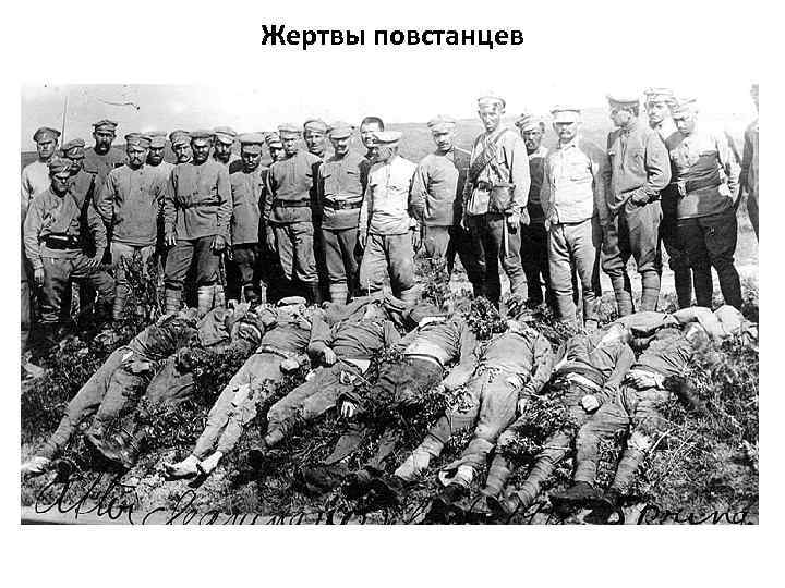 Жертвы повстанцев 