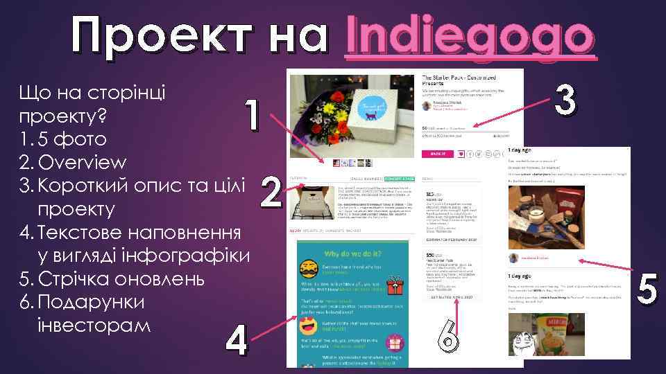 Проект на Indiegogo Що на сторінці проекту? 1. 5 фото 2. Оverview 3. Короткий