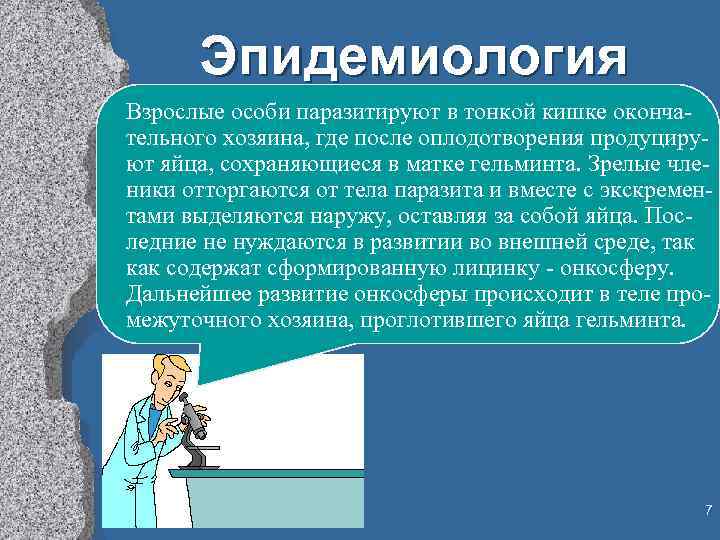 Эпидемиология Взрослые особи паразитируют в тонкой кишке окончательного хозяина, где после оплодотворения продуцируют яйца,