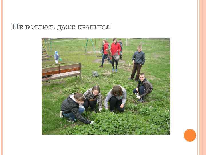 НЕ БОЯЛИСЬ ДАЖЕ КРАПИВЫ! 