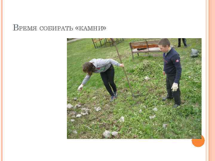 ВРЕМЯ СОБИРАТЬ «КАМНИ» 