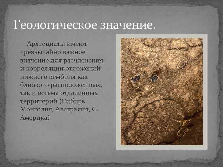 Геологическое значение. Археоциаты имеют чрезвычайно важное значение для расчленения и корреляции отложений нижнего кембрия