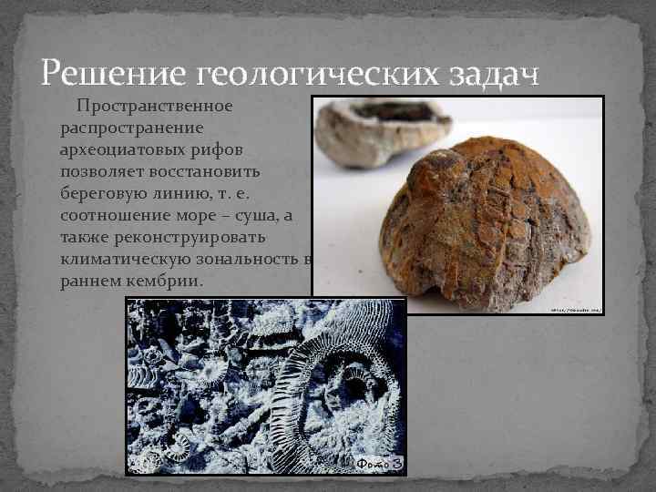 Решение геологических задач Пространственное распространение археоциатовых рифов позволяет восстановить береговую линию, т. е. соотношение